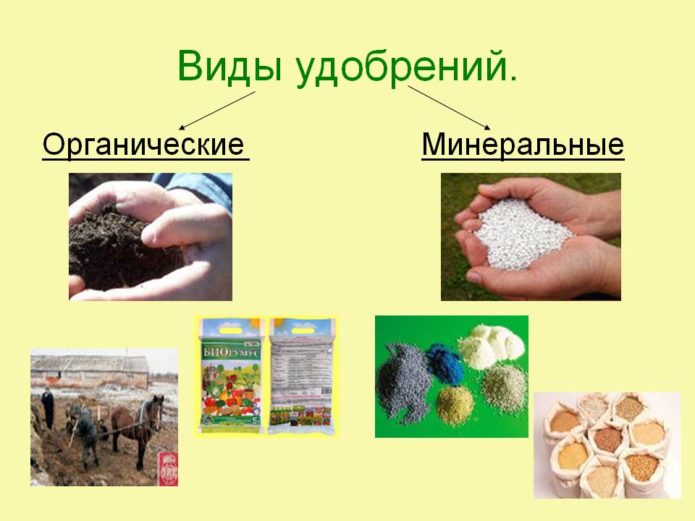 Organic and mineral fertilizers