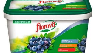 Тор Florovit