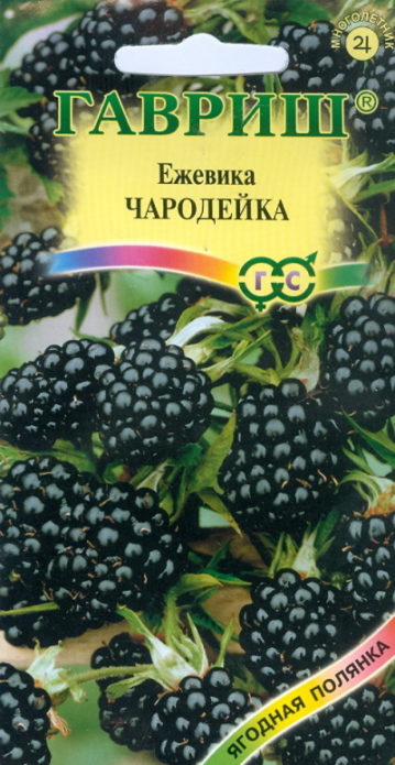 Blackberry frø