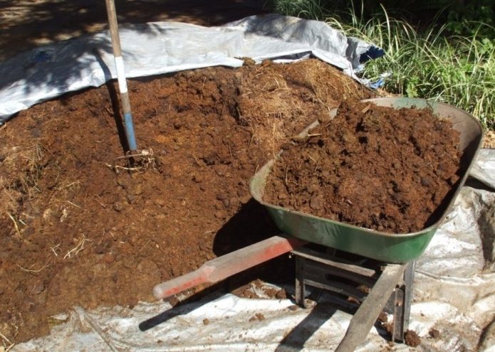 Présentation de l'humus pour creuser