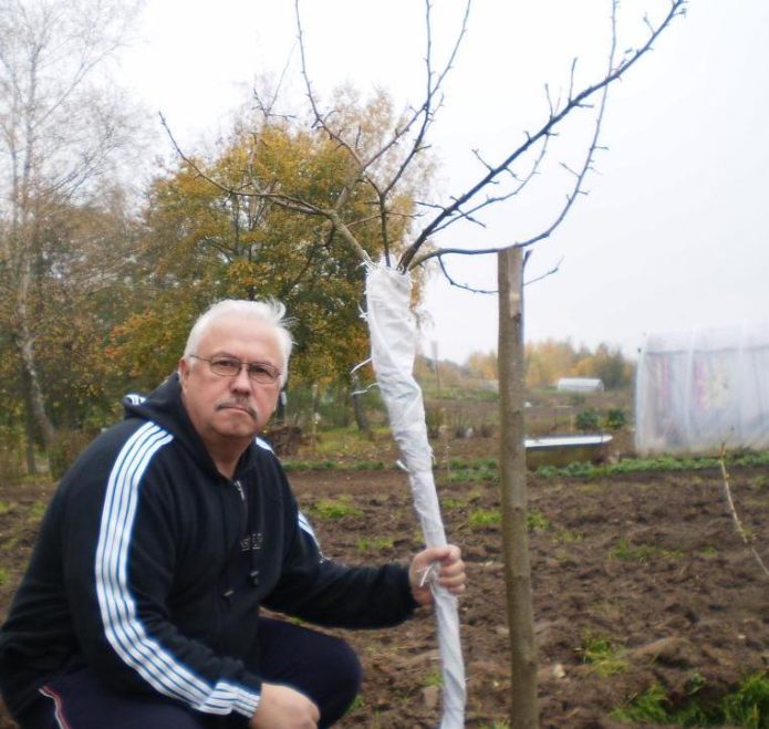 Preparando una plántula para el invierno