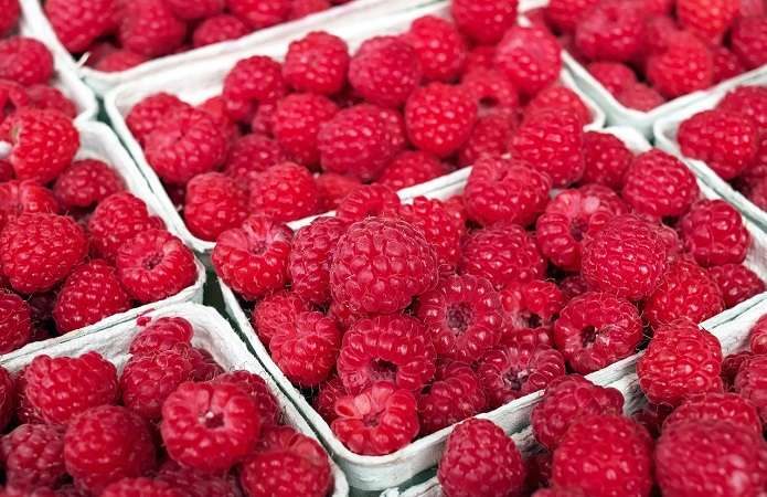 Framboesas em recipientes de plástico