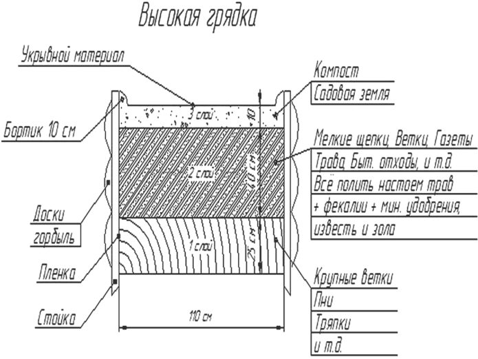 Bố trí sân vườn