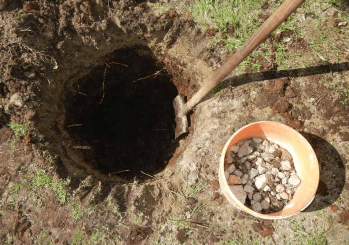 Preenchimento da camada de drenagem na cova de plantio