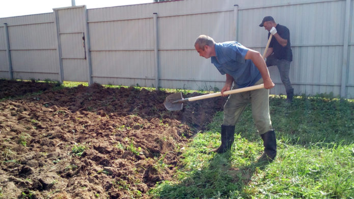 Een site graven