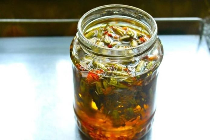 Marigoldien infuusio