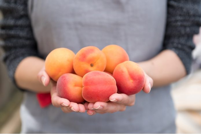 Frutos de albaricoque de la variedad Krasnoschekiy