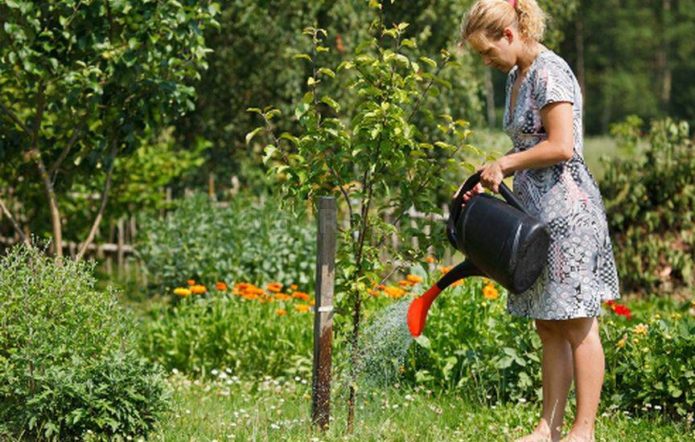 Flicka med en vattenkanna som bevattnar en planta