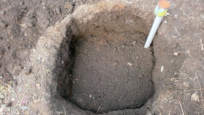 Planting pit for grapes