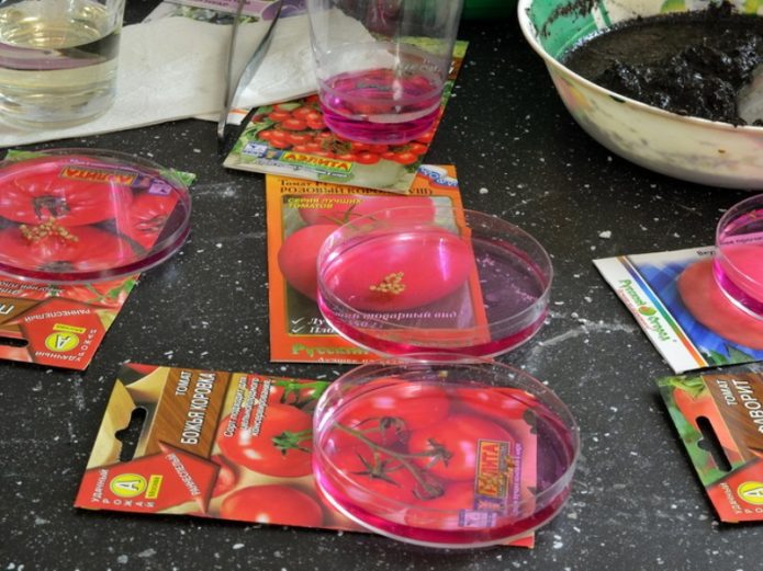 Disinfection of tomato seeds