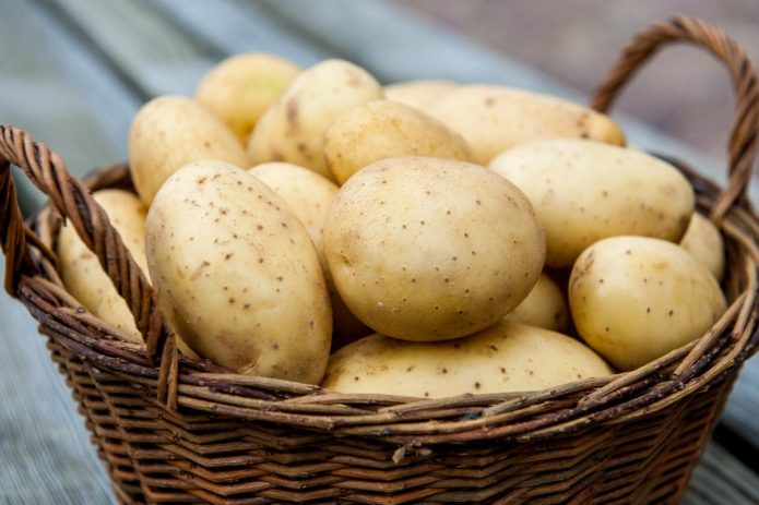 Tubérculos de batata em uma cesta