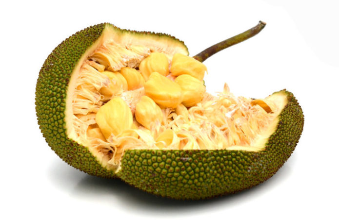 Nangka