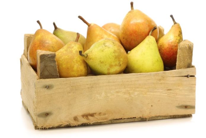 Pears for short-term storage