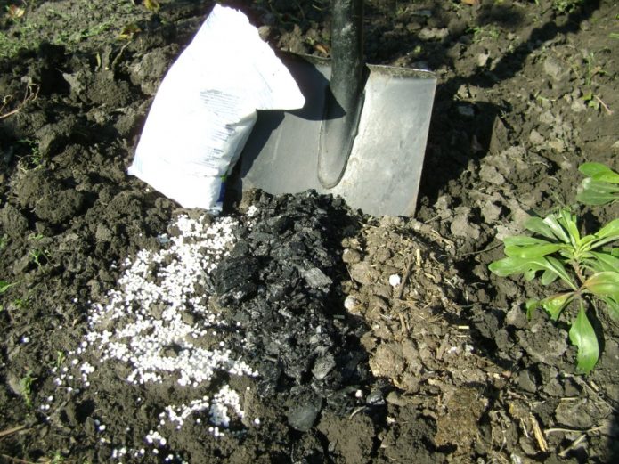 Preparació del sòl per a la plantació