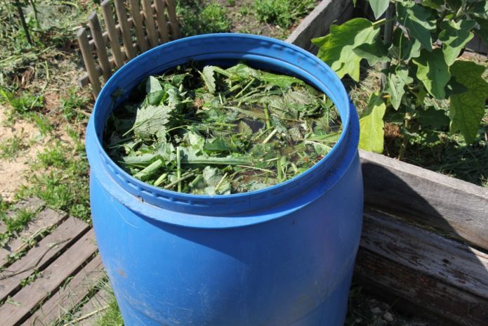 Infusió d'herbes