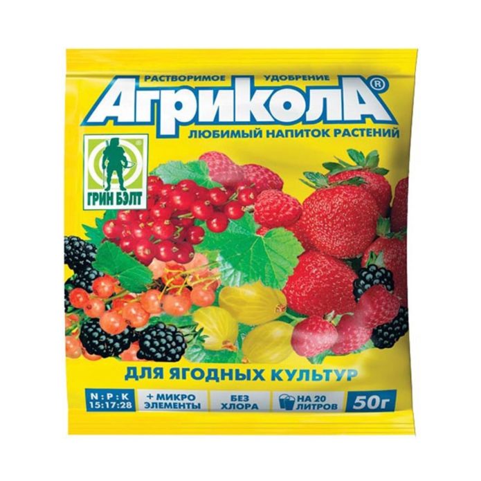 Агрицола