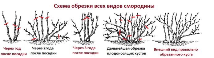 Trimming scheme