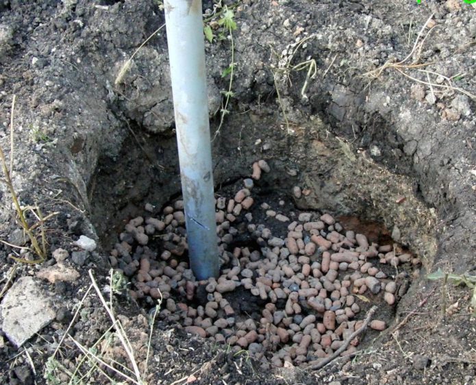 Hoyo de plantación para uvas