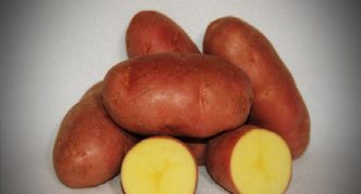 Patatas Asterix