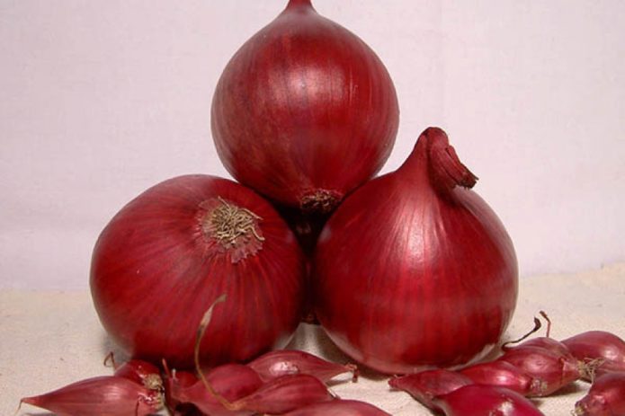 Onion Sevok Red Baron