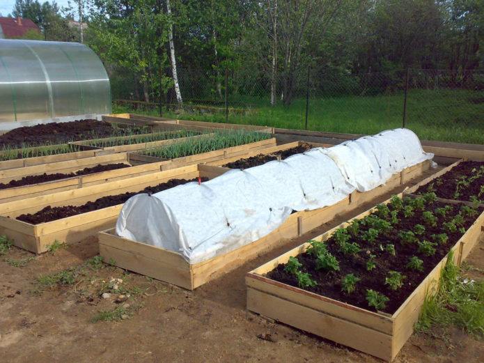 Camas-cajas de madera para verduras