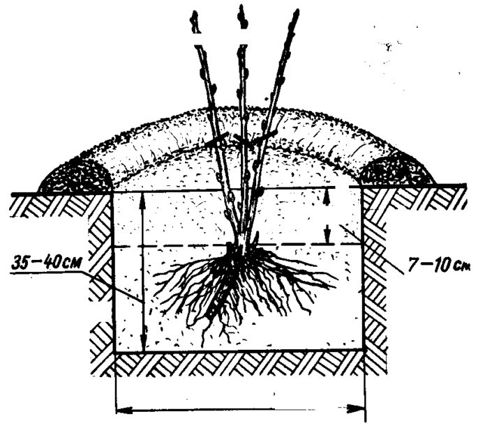 Landningsschema