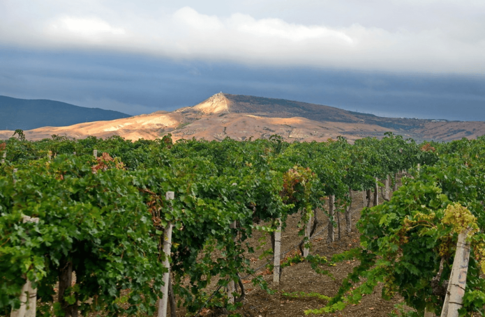 Uvas en Crimea