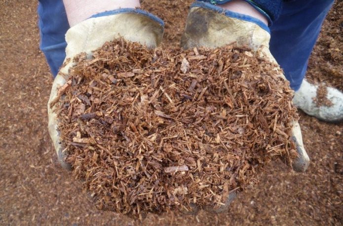 bark mulch