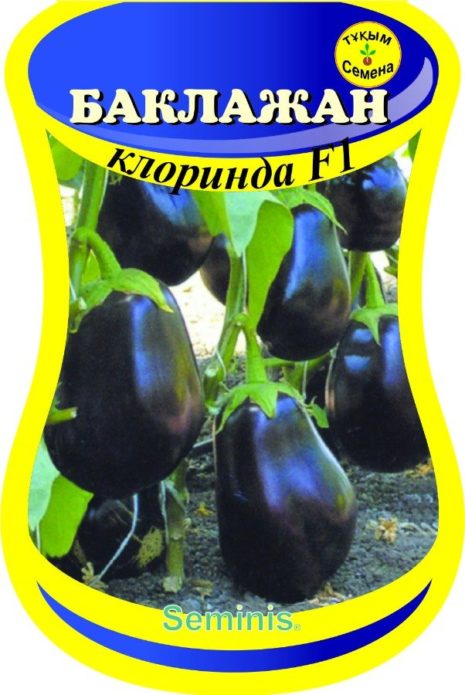 Clorinda aubergine utsäde paket