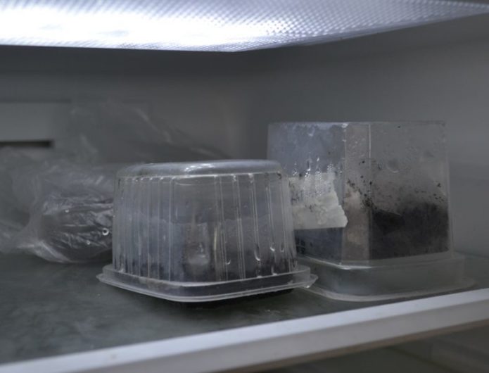 Tazones de semillas en el refrigerador.