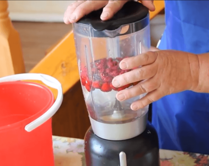 Pag-aani ng mga binhi ng strawberry na may blender