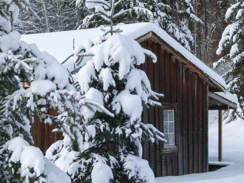 Månekalender for gartneren og gartneren for februar 2019