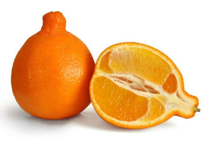 Laranja de umbigo