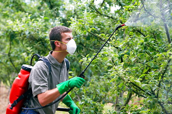 Homem com pulverizador no jardim