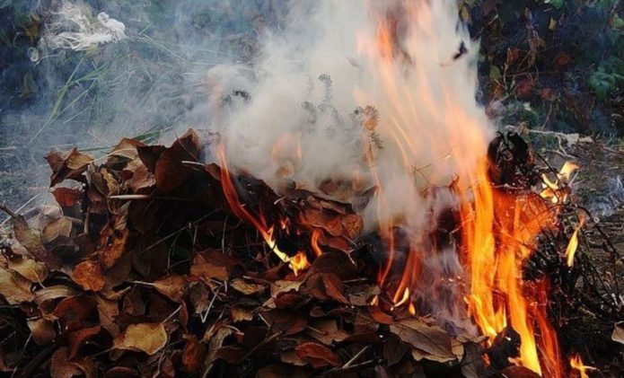 Šakelių ir nukritusių lapų laužas