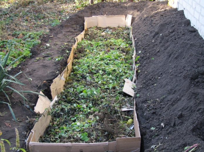 Preparare un letto alto per i lamponi