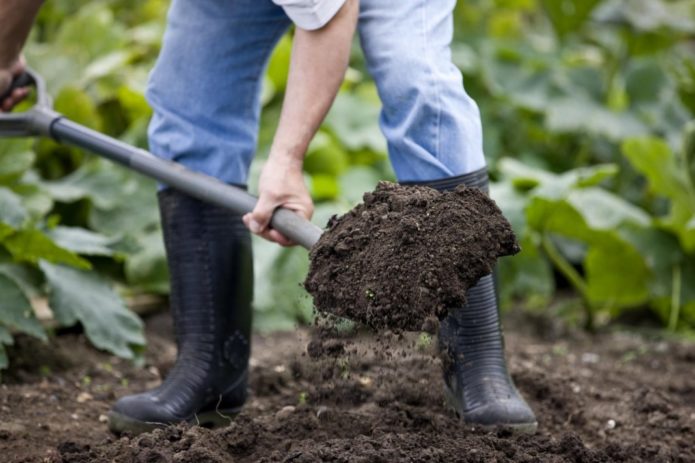 Digging a site