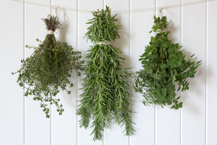 Drying herbs