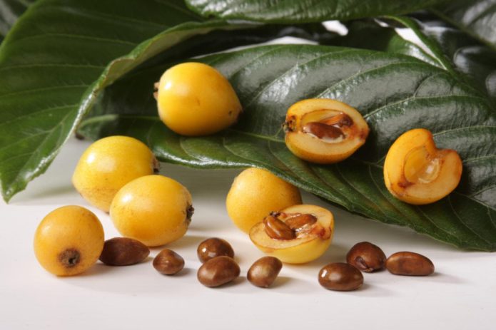 Medlar fruits photo