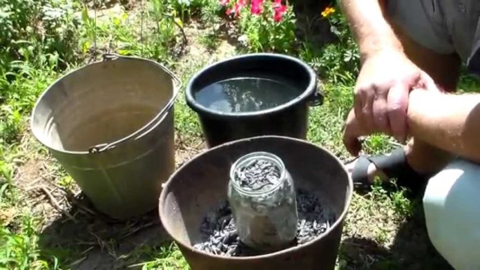 Preparació de la infusió de cendra