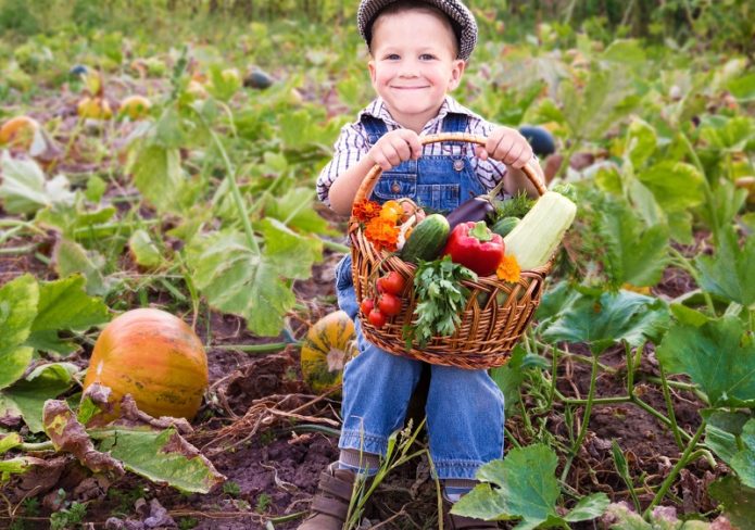 Hawak ng bata ang ani mula sa hardin sa isang basket