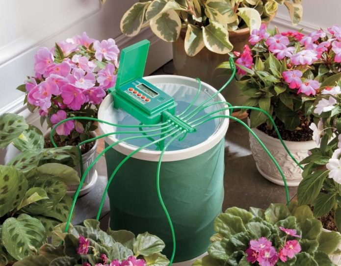 Sistema de riego automático para flores.