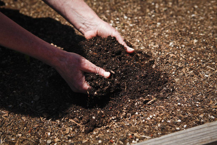 Torfmulch