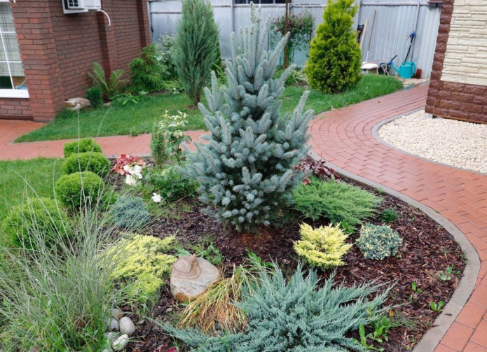 Spruce di mixborder