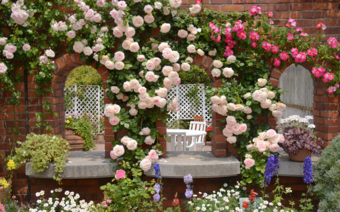 Rosas de cobertura de suelo en diseño de paisaje