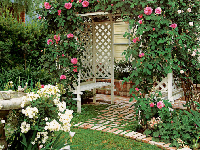 Ground cover roses in landscape design