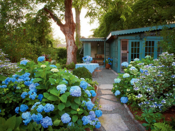 Hortensias en diseño de paisaje