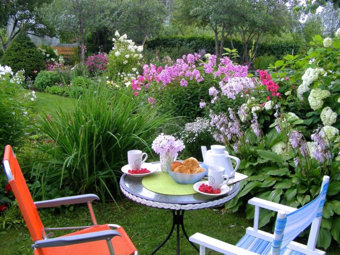 Hydrangea in a recreation area