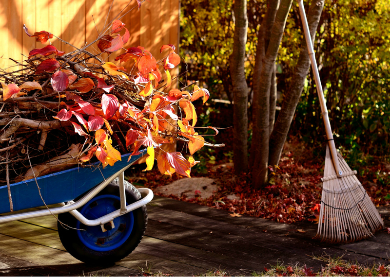 Maankalender voor tuinman en tuinman voor oktober 2019