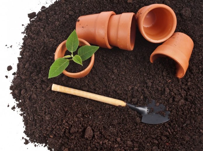 Ground, shovel and seedling pots